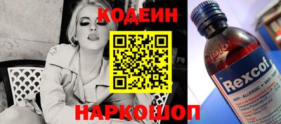 стафф Кингисепп