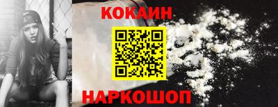 стафф Кингисепп
