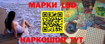 стафф Кингисепп