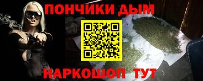 стафф Кингисепп