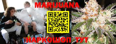 стафф Кингисепп