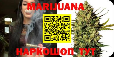 стафф Кингисепп