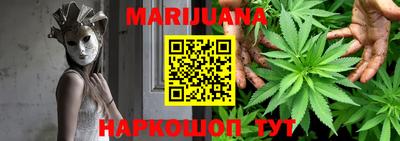 стафф Кингисепп
