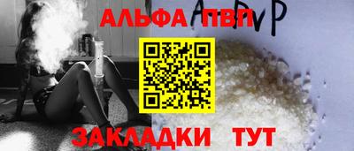 стафф Кингисепп