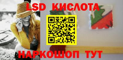 стафф Кингисепп