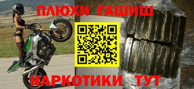 стафф Кингисепп