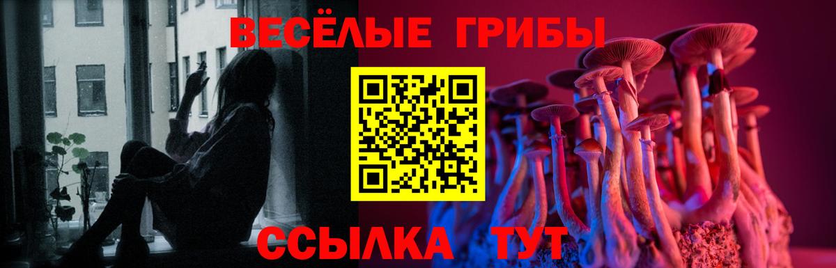 Галлюциногенные грибы Cubensis Кириши
